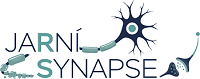 JaRní Synapse